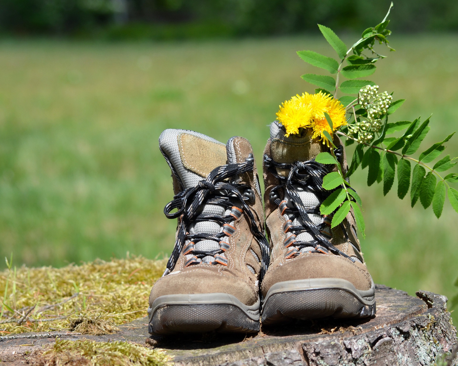 Wandern und genießen!
